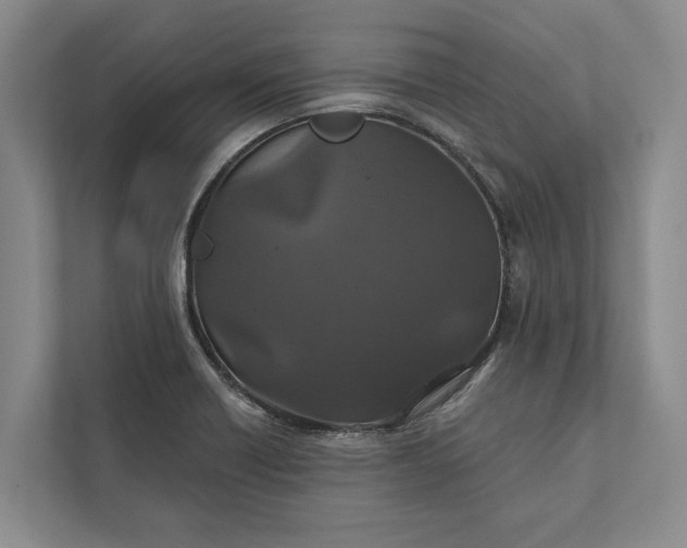 X0000112021418200908171421