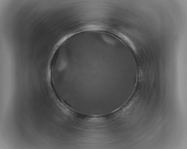 X0000112021419200908171421