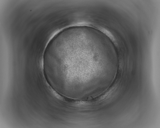 X0000112021420200908171421