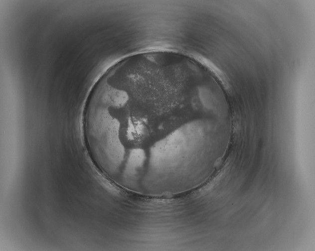 X0000112021423200908171421