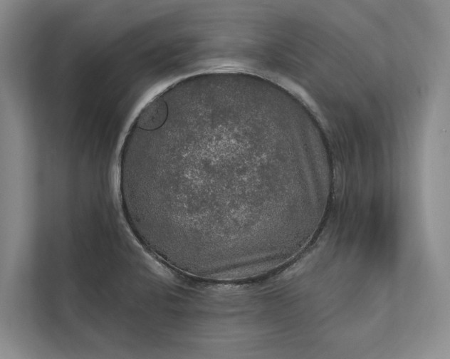 X0000112021424200908171421