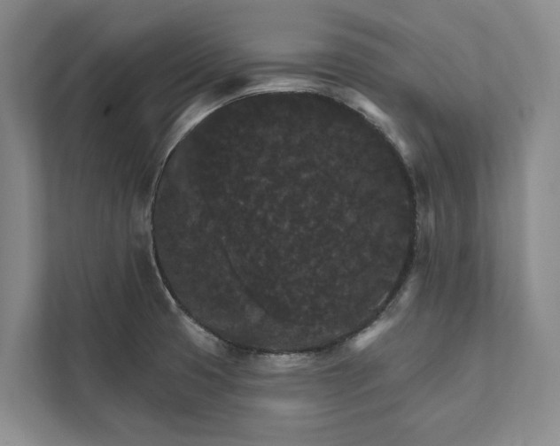 X0000112021425200908171421