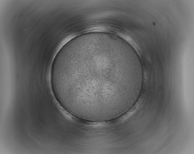 X0000112021426200908171421