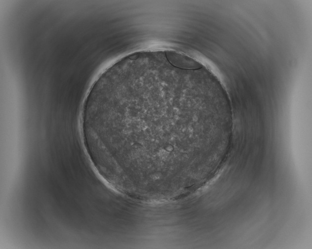 X0000112021429200908171421