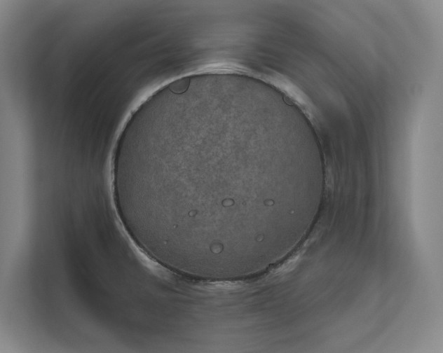 X0000112021430200908171421