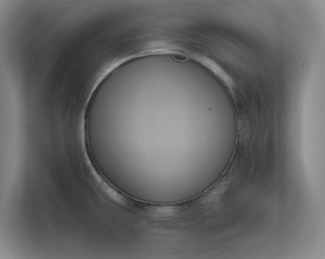 X0000112021431200908171421