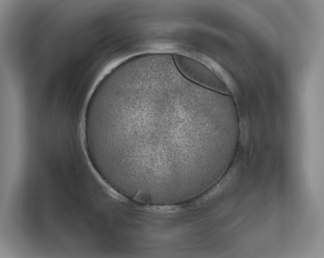 X0000112021432200908171421