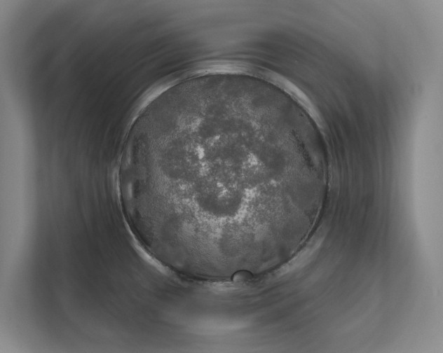 X0000112021433200908171421