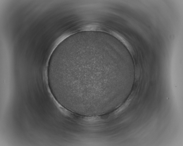 X0000112021434200908171421