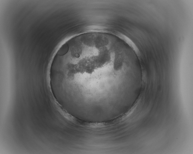 X0000112021435200908171421