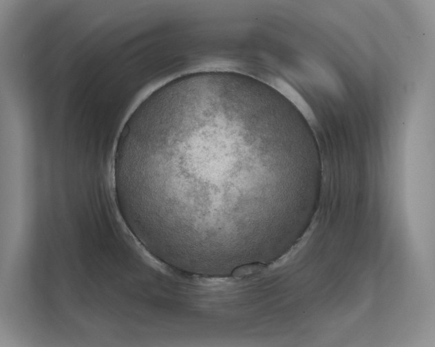 X0000112021436200908171421