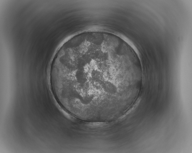 X0000112021437200908171421