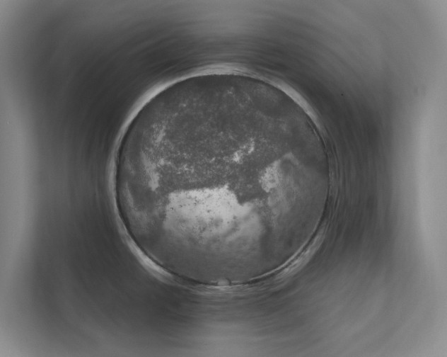 X0000112021438200908171421