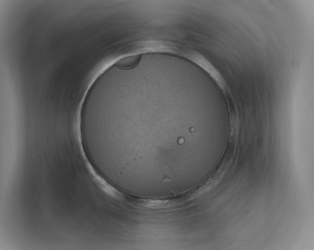 X0000112021439200908171421