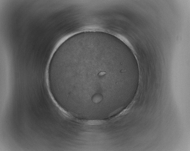 X0000112021440200908171421