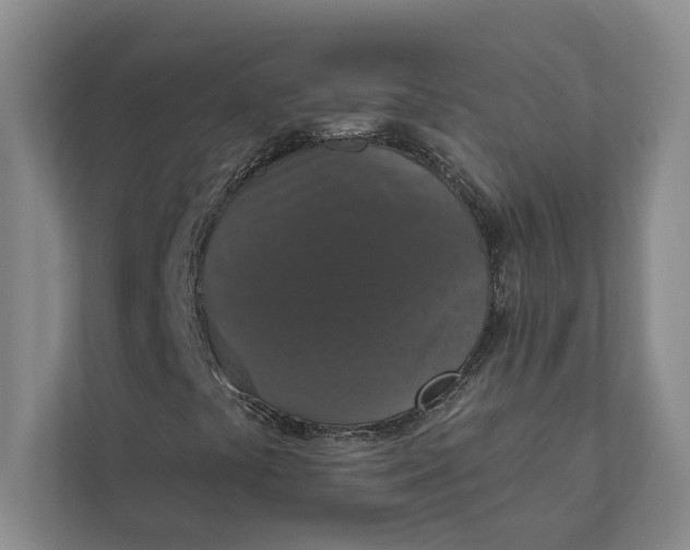 X0000112021441200908171420