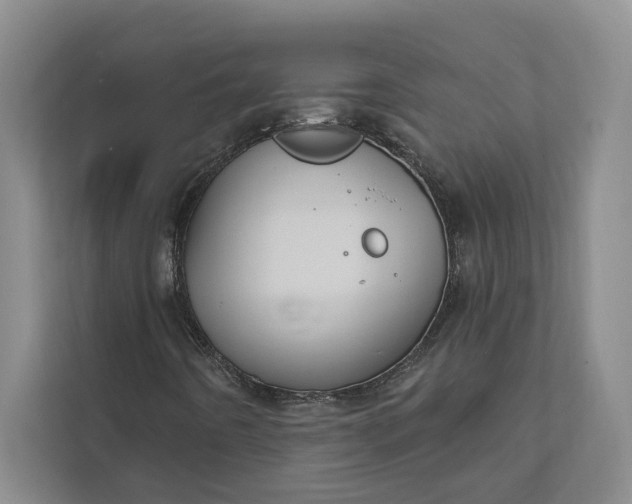 X0000112021442200908171420