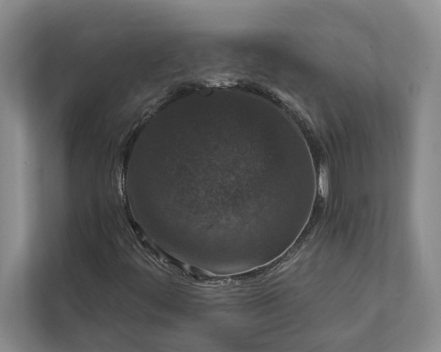 X0000112021444200908171420