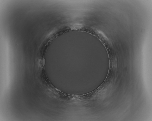 X0000112021445200908171420