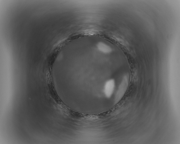 X0000112021446200908171420