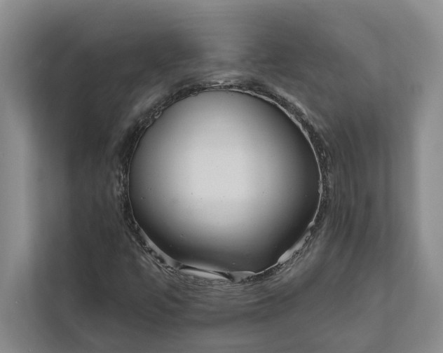 X0000112021447200908171420