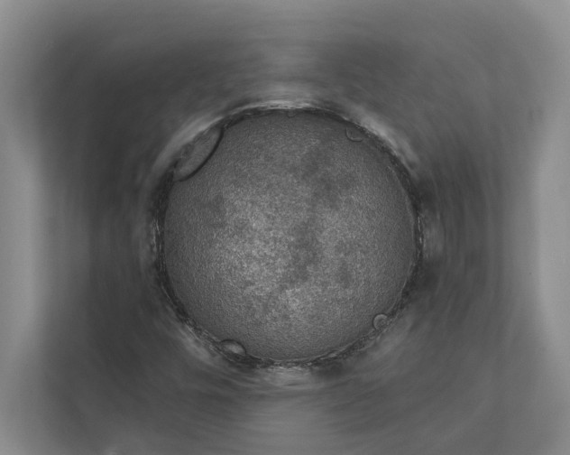 X0000112021448200908171420