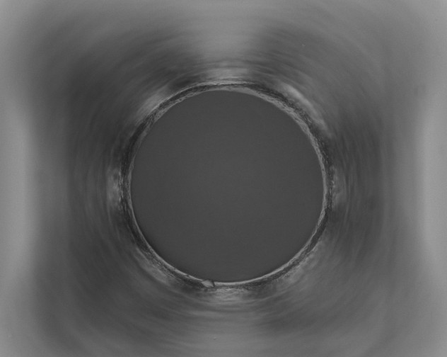 X0000112021449200908171420