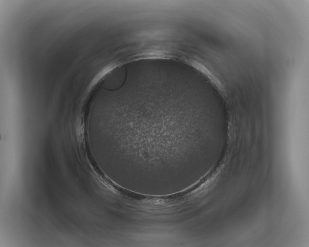 X0000112021450200908171420