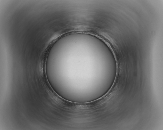 X0000112021451200908171420