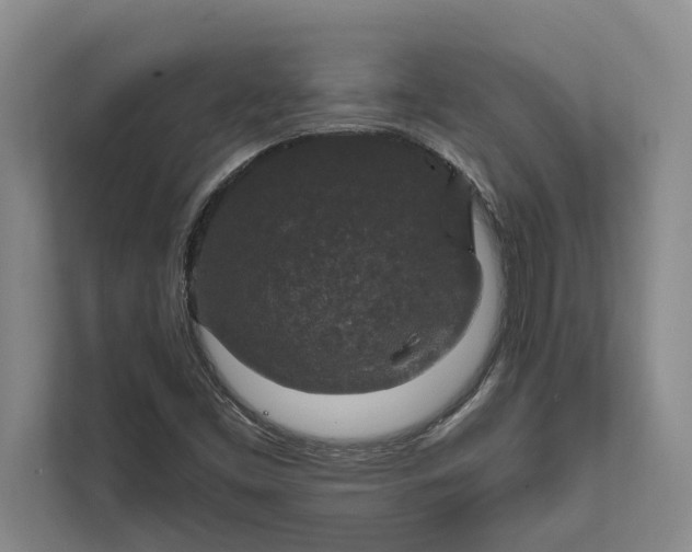 X0000112021453200908171420