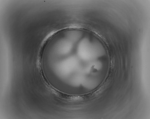 X0000112021454200908171420