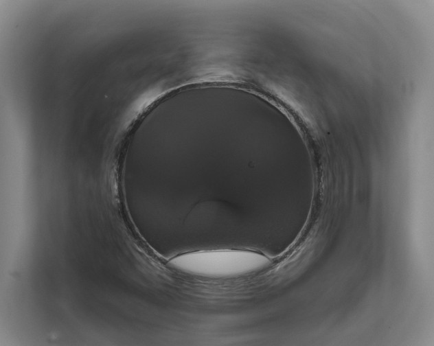 X0000112021455200908171420