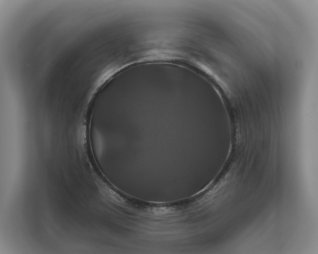 X0000112021459200908171420