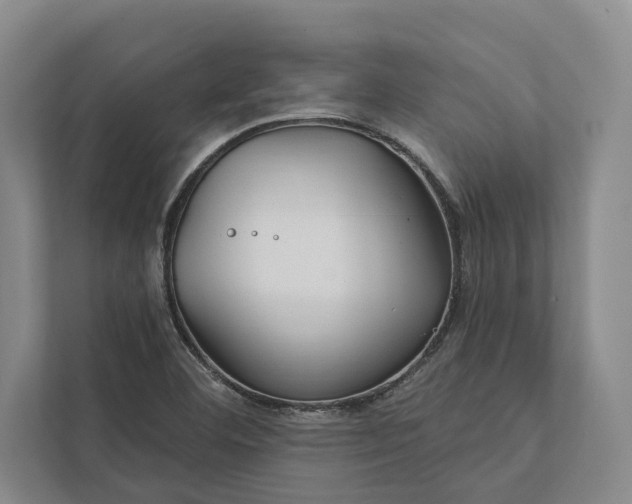 X0000112021460200908171420