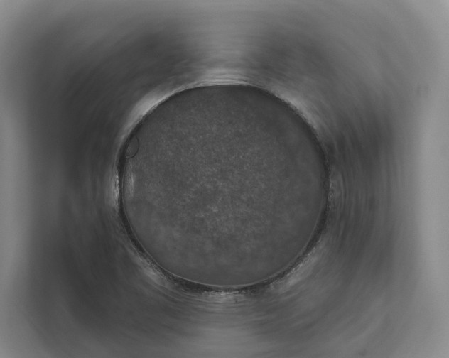 X0000112021461200908171420