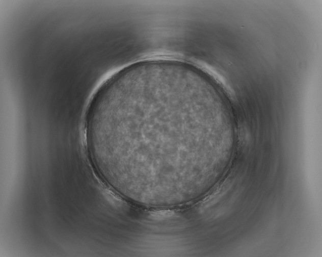 X0000112021462200908171420