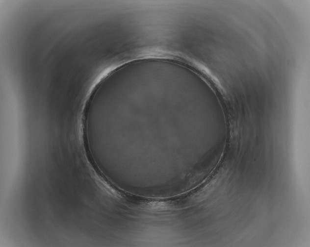 X0000112021463200908171420