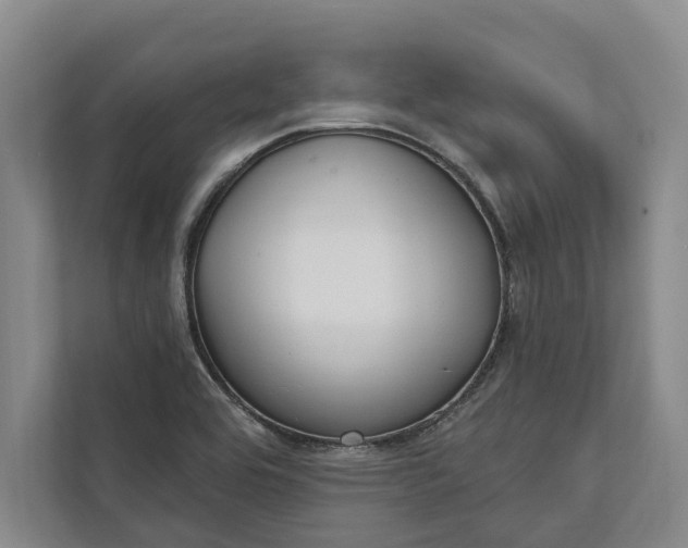 X0000112021464200908171420