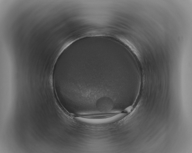 X0000112021465200908171420