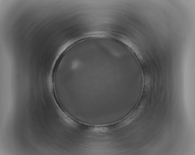 X0000112021466200908171420