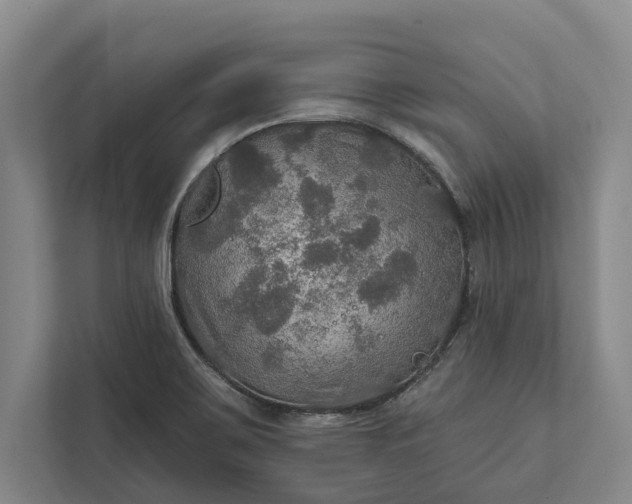 X0000112021467200908171420