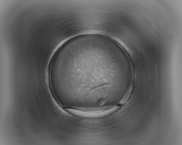 X0000112021468200908171420