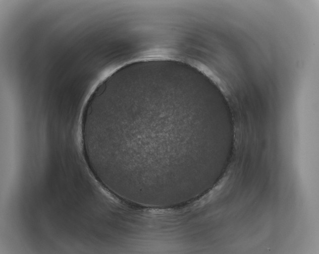 X0000112021469200908171420