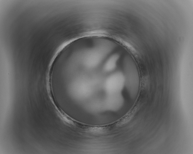 X0000112021470200908171420