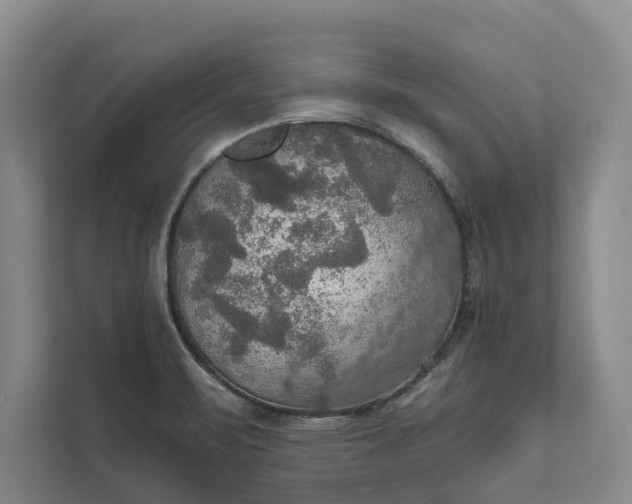 X0000112021471200908171420