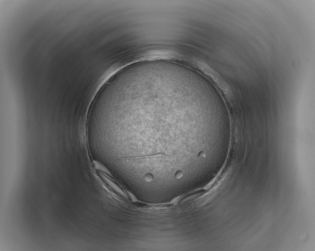 X0000112021473200908171420