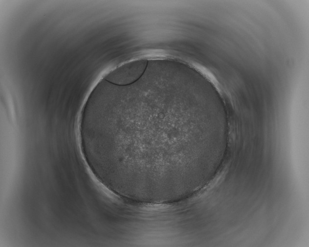 X0000112021475200908171420