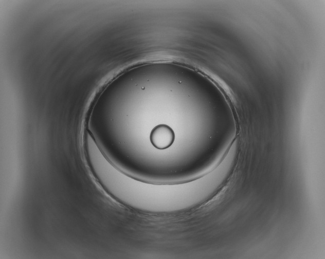 X0000112021477200908171420