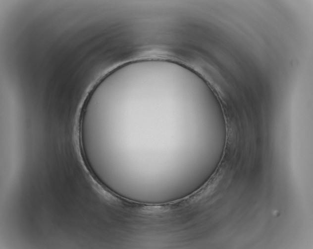 X0000112021478200908171420