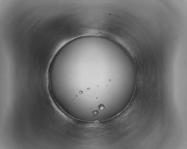 X0000112021479200908171420